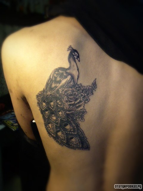 Фотография татуировки под названием «Жар птица в виде узора»