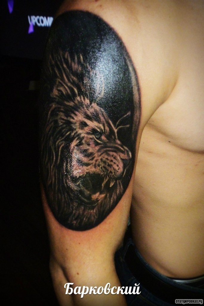 Фотография татуировки под названием «Оскал рыси»