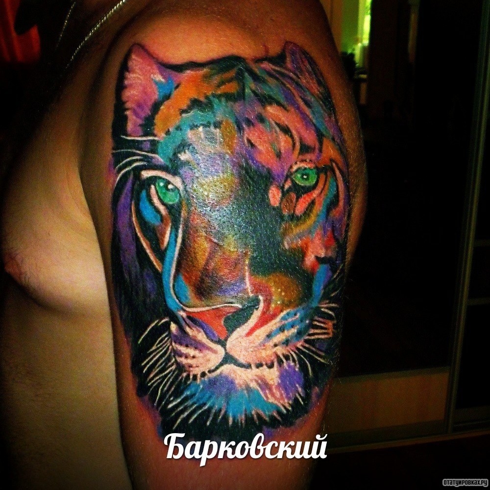 Фотография татуировки под названием «Разноцветная морда тигра»