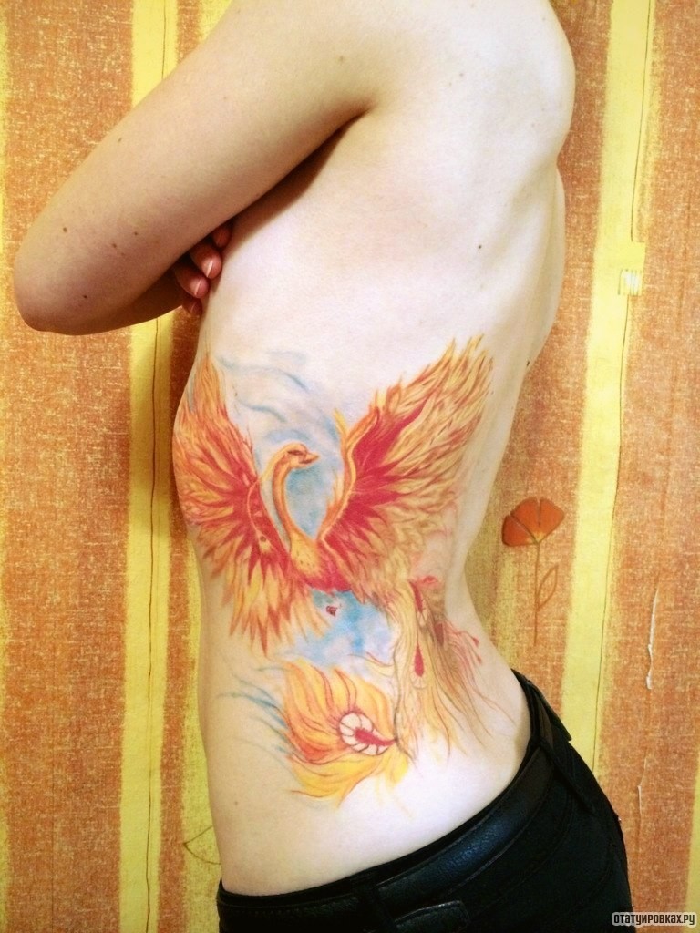 Фотография татуировки под названием «Жар птица»