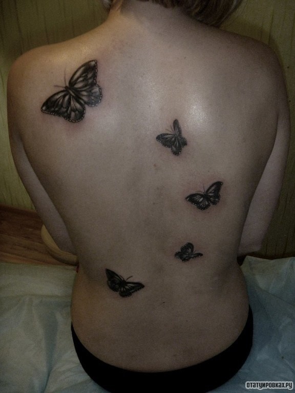Фотография татуировки под названием «Бабочки на спине»