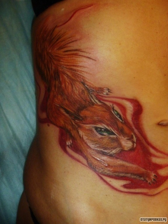Фотография татуировки под названием «Пышная белка»