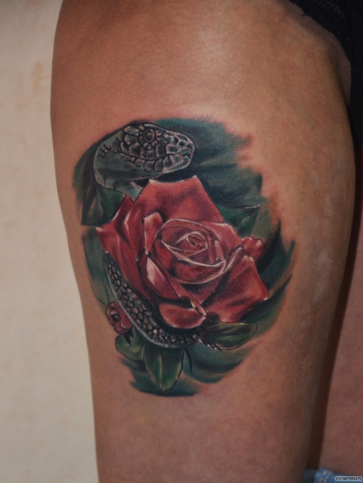 Фотография татуировки под названием «Роза и змея»