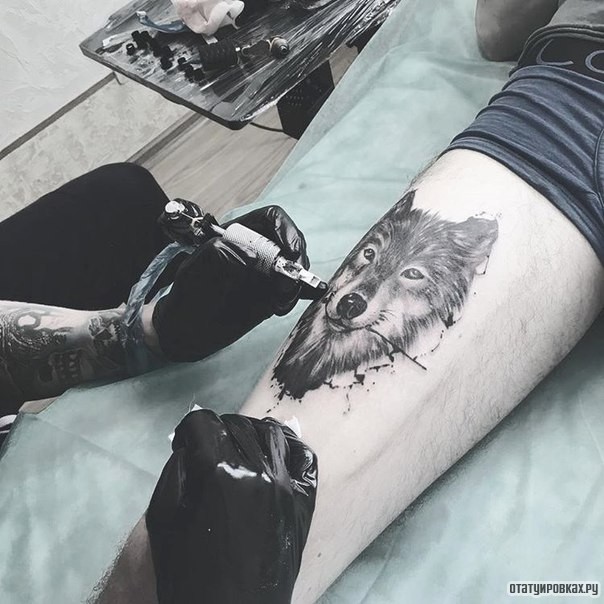 Фотография татуировки под названием «Мастер набвает волка»