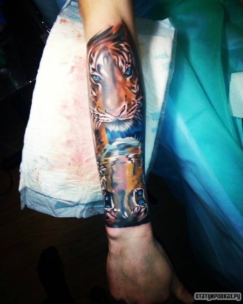 Фотография татуировки под названием «Тигр в стиле реализм»