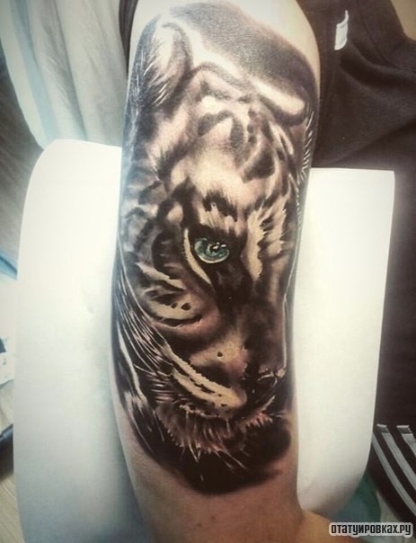 Фотография татуировки под названием «Ягуар с зелеными глазами»