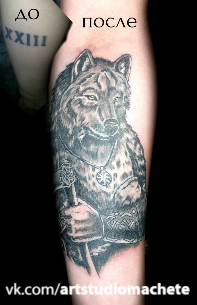 Фотография татуировки под названием «Волк с косой»