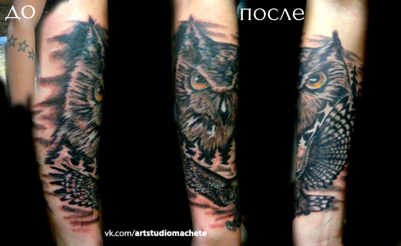 Фотография татуировки под названием «Сова и орел»