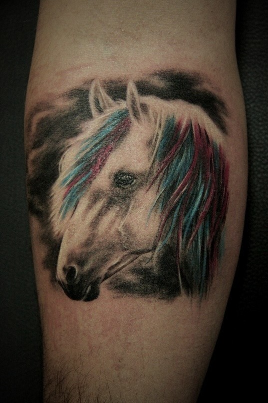 Фотография татуировки под названием «Кошадь с разноцветной гривой»