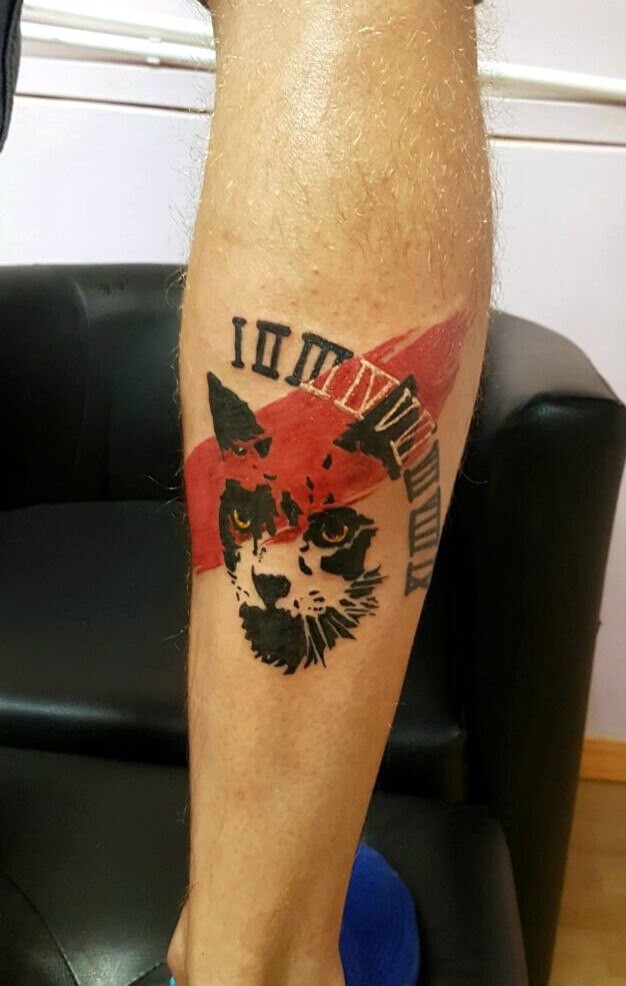 Фотография татуировки под названием «Лицо кота»