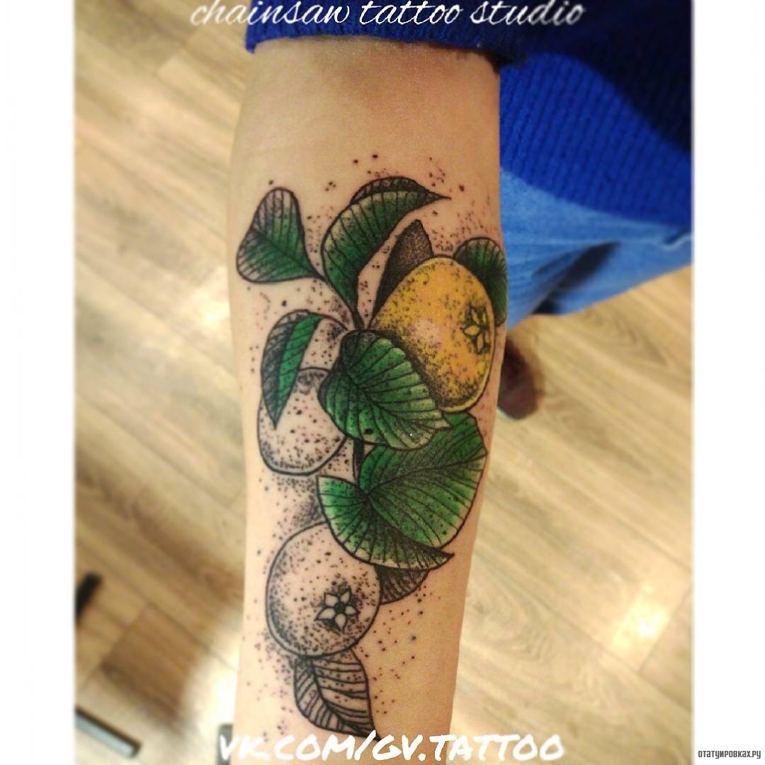Фотография татуировки под названием «Ветка лимона»