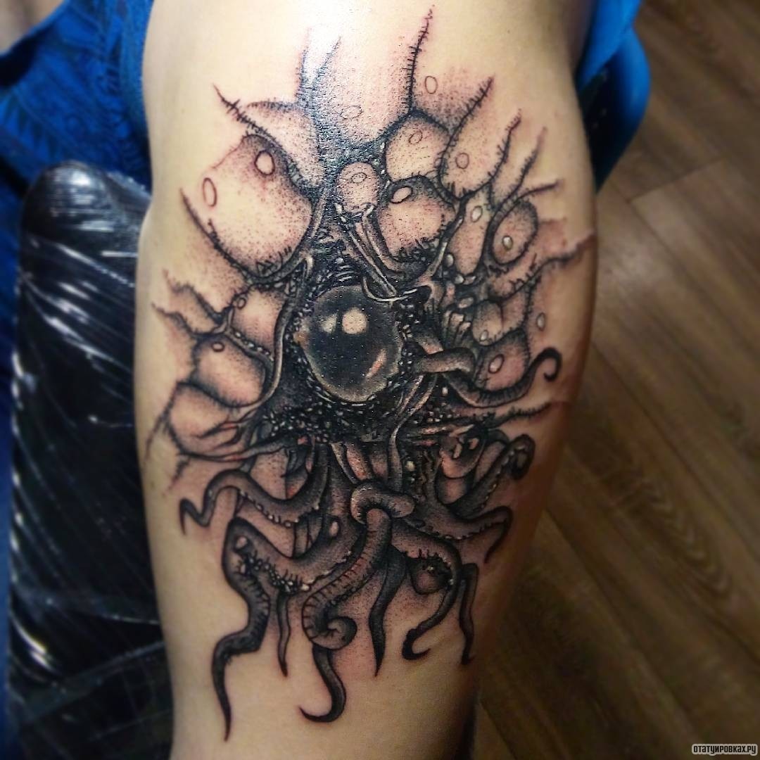 Фотография татуировки под названием «Осьминог с глазом»