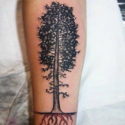 Тату дерево с корнями