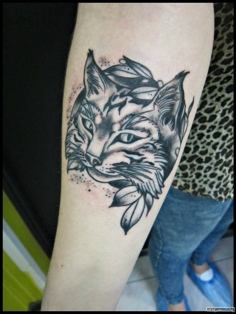 Фотография татуировки под названием «Морда кота»