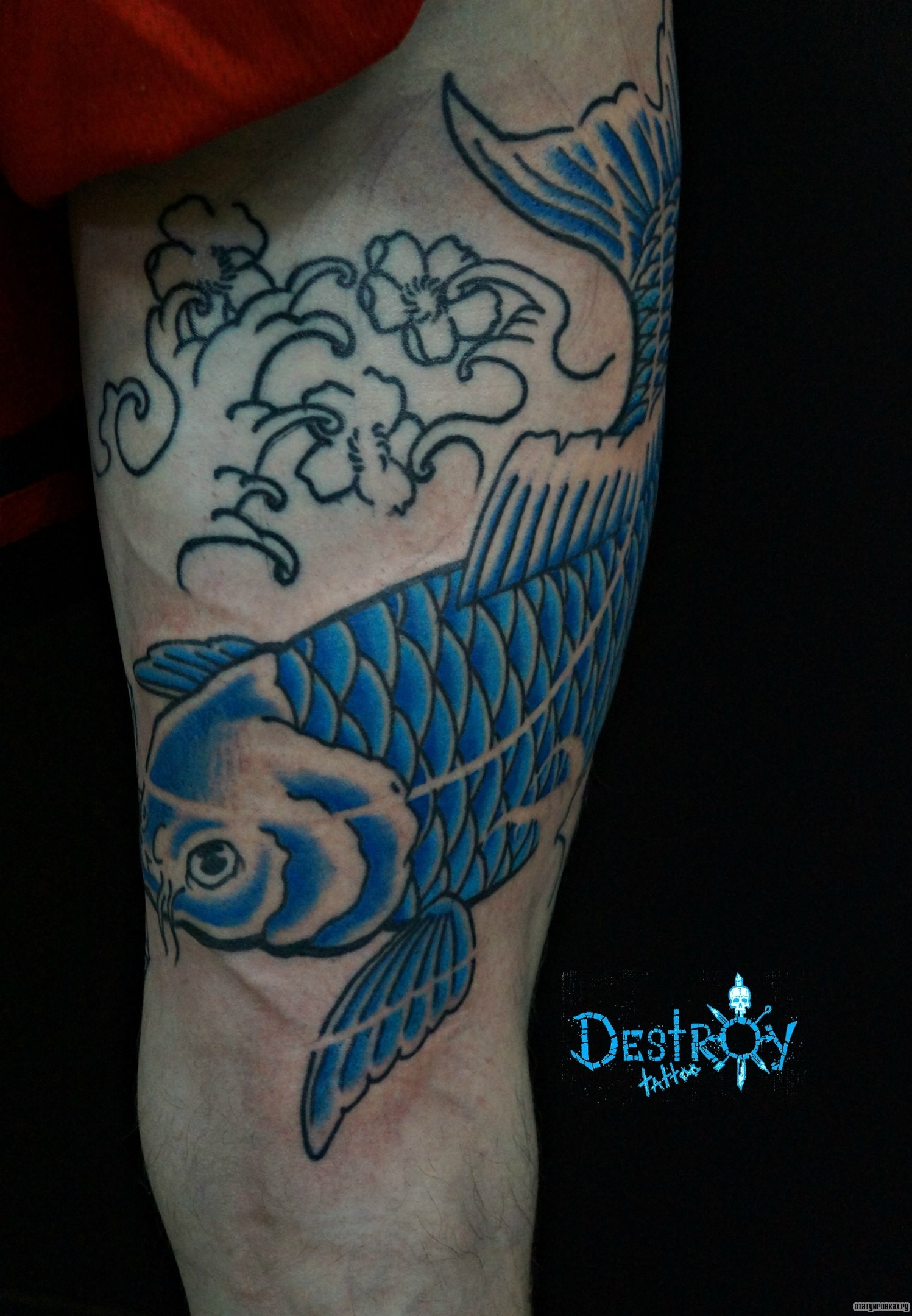 Фотография татуировки под названием «Синий карп»
