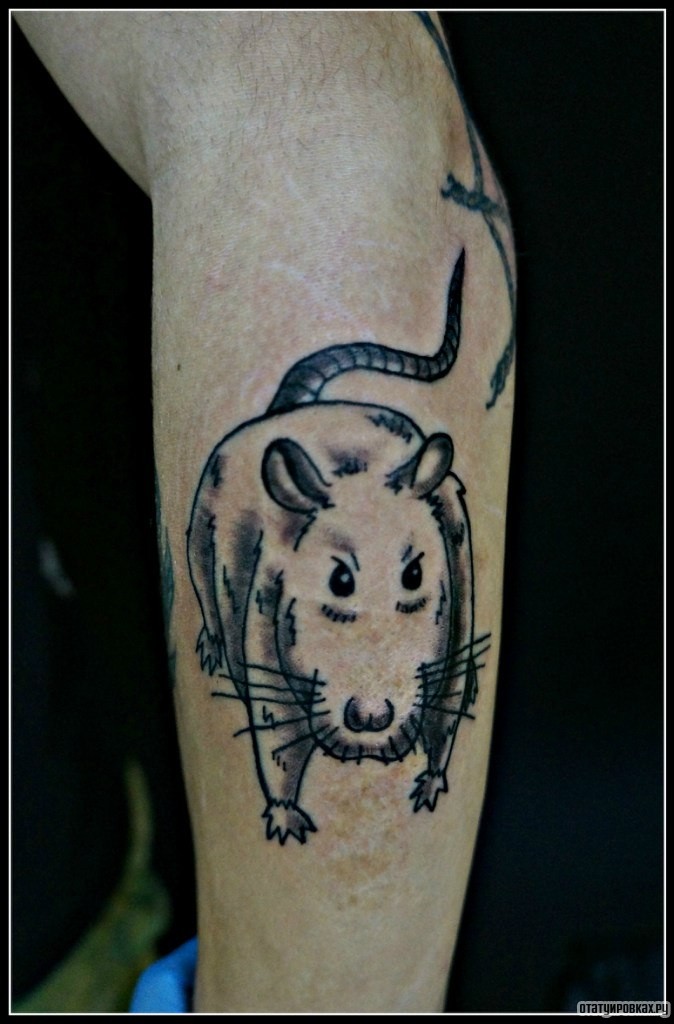 Фотография татуировки под названием «Мышка»