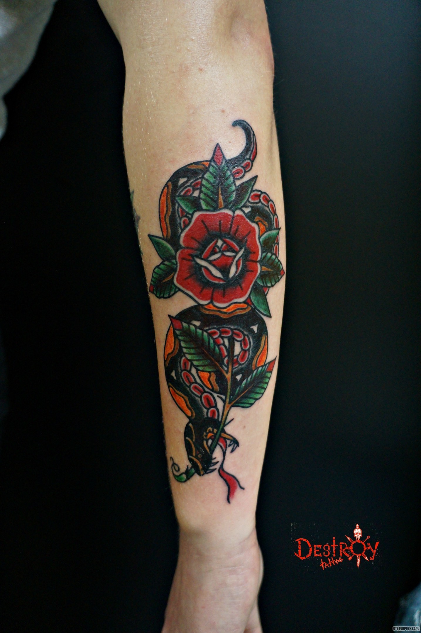 Фотография татуировки под названием «Роза и змея»