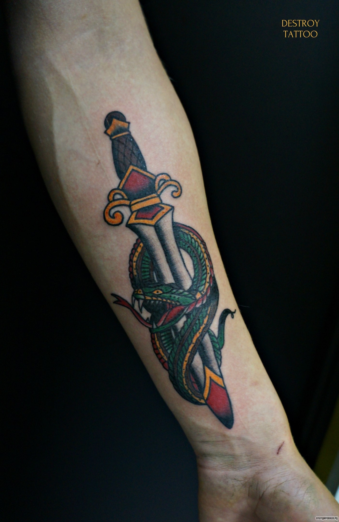Фотография татуировки под названием «Кинжал и змея»