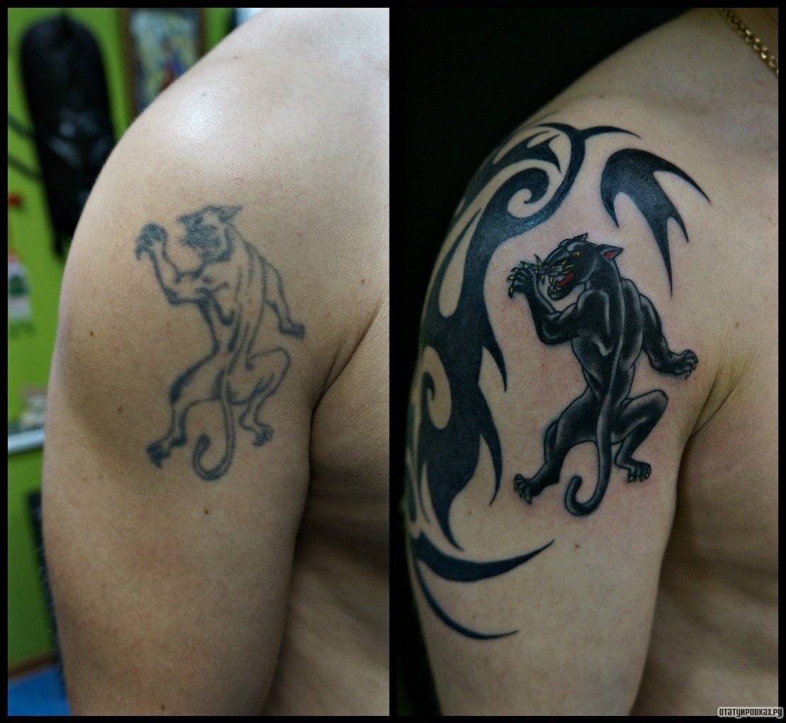 Фотография татуировки под названием «Пантера и трайбл узор»