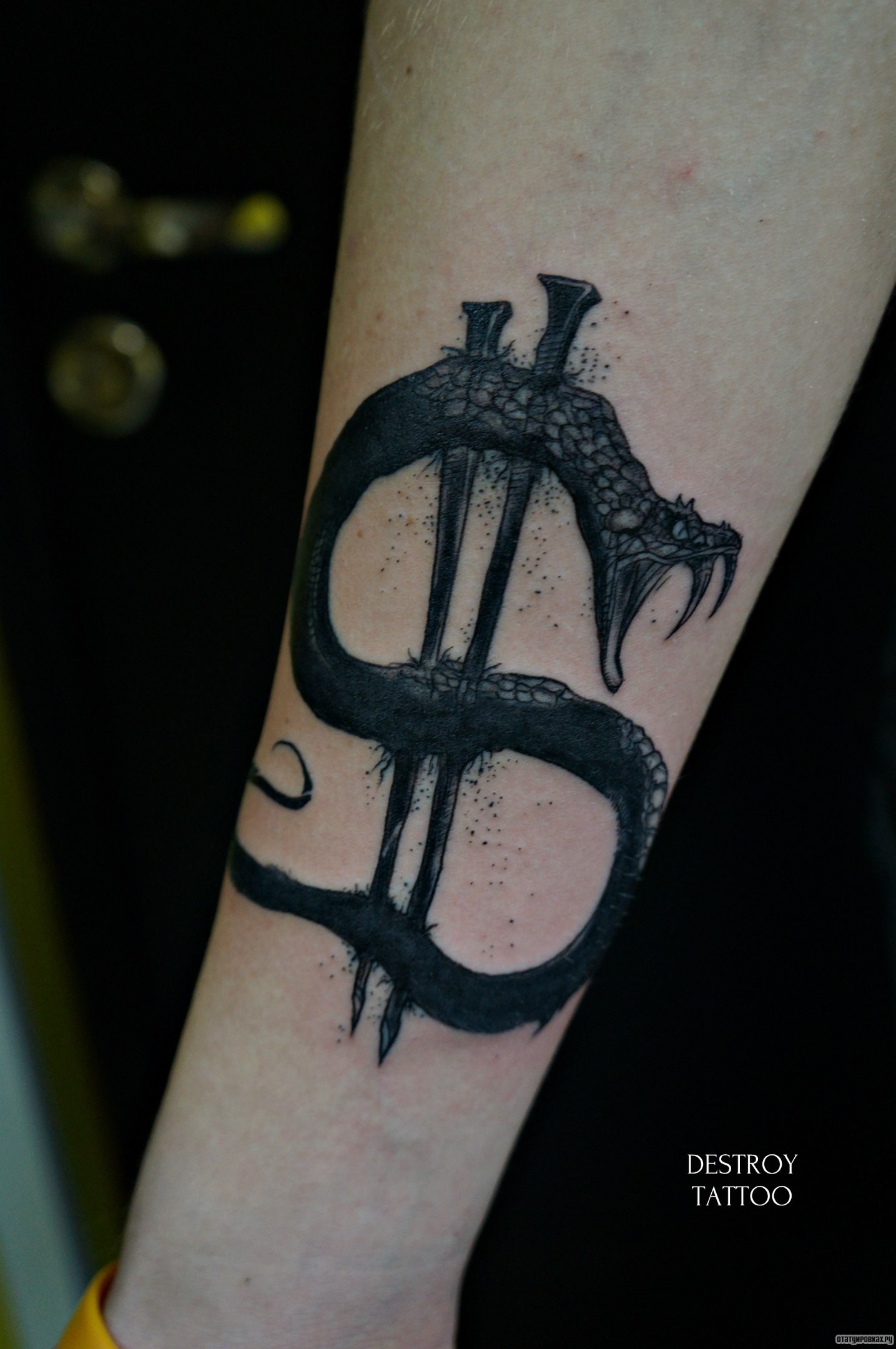 Фотография татуировки под названием «Доллар в виде змеи и гвоздей»
