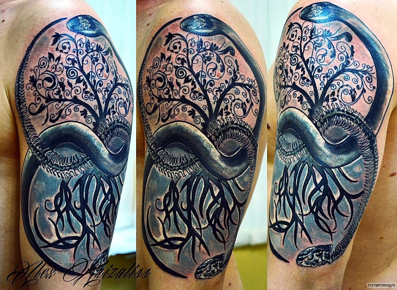 Фотография татуировки под названием «Уроборос с деревом»