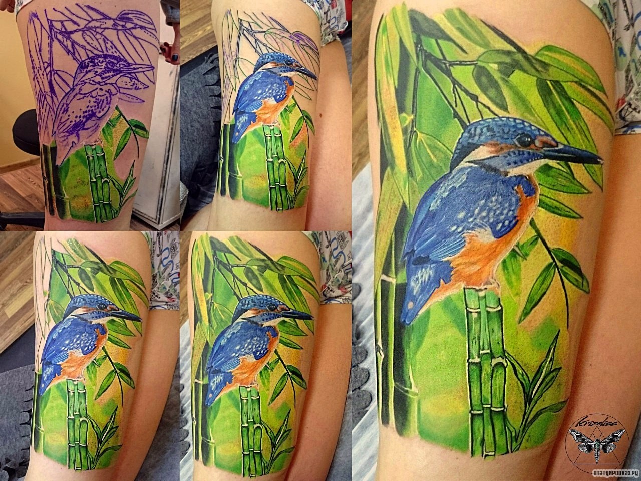 Фотография татуировки под названием «Колибри в зелени»