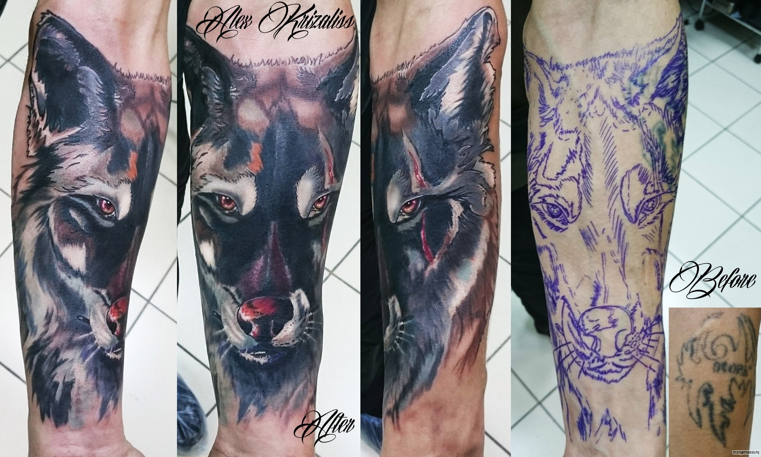 Фотография татуировки под названием «Взгляд волка»