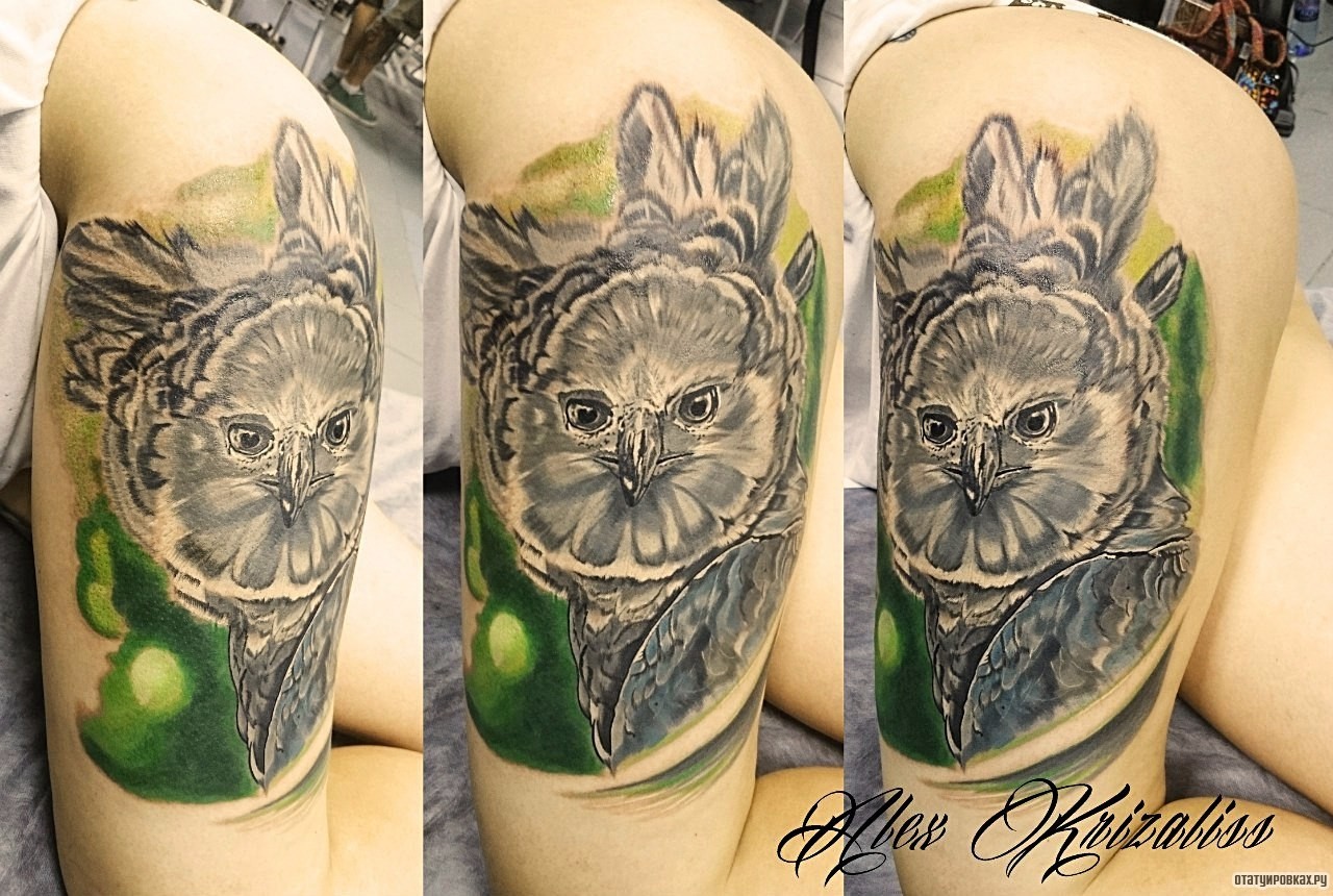 Фотография татуировки под названием «Серая сова»