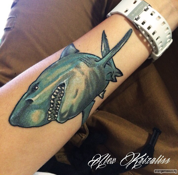 Фотография татуировки под названием «Акула»