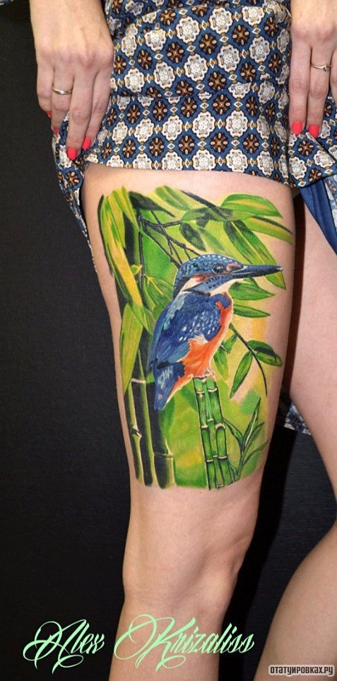 Фотография татуировки под названием «Колибри сидит на ветке»