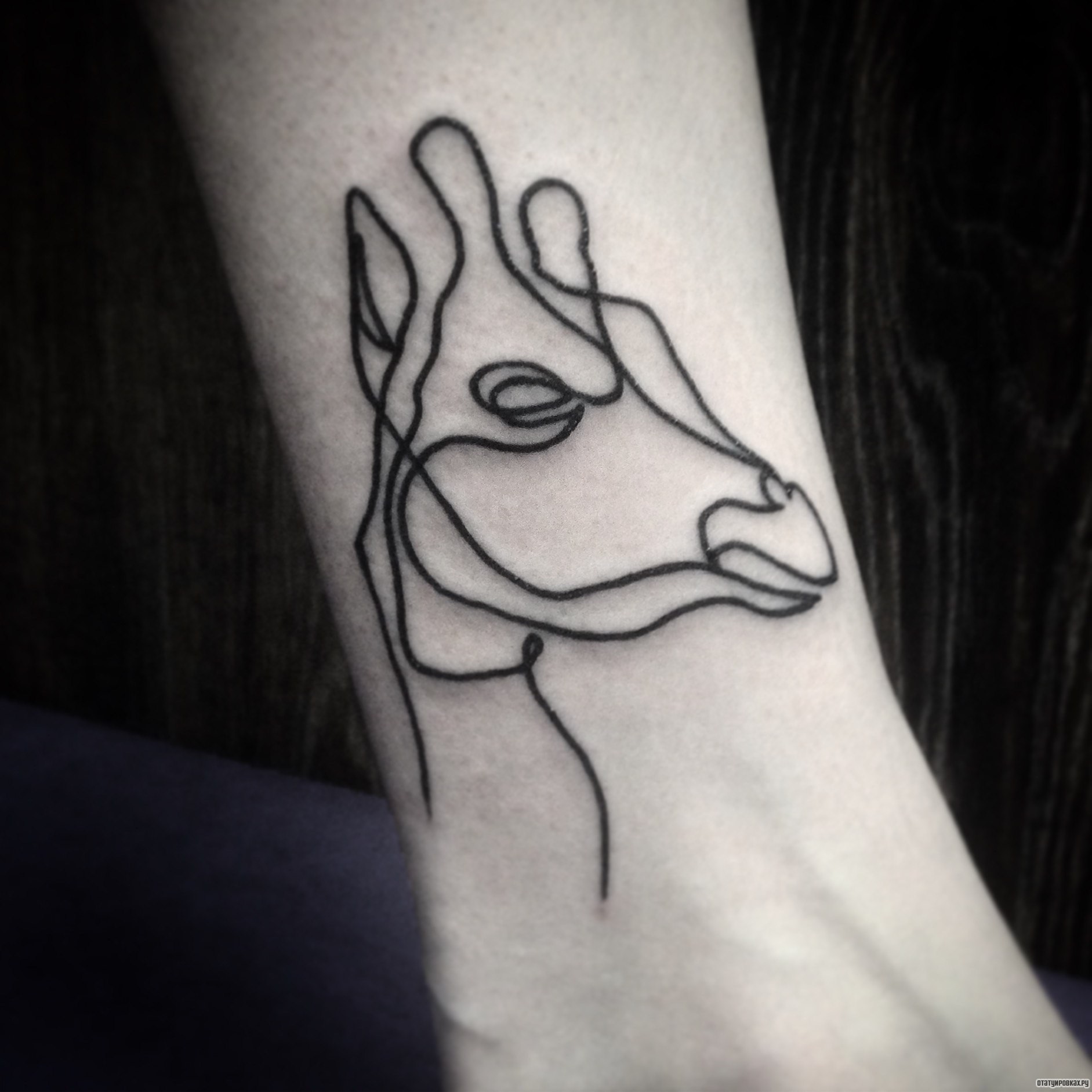 Фотография татуировки под названием «Морда жирафа»