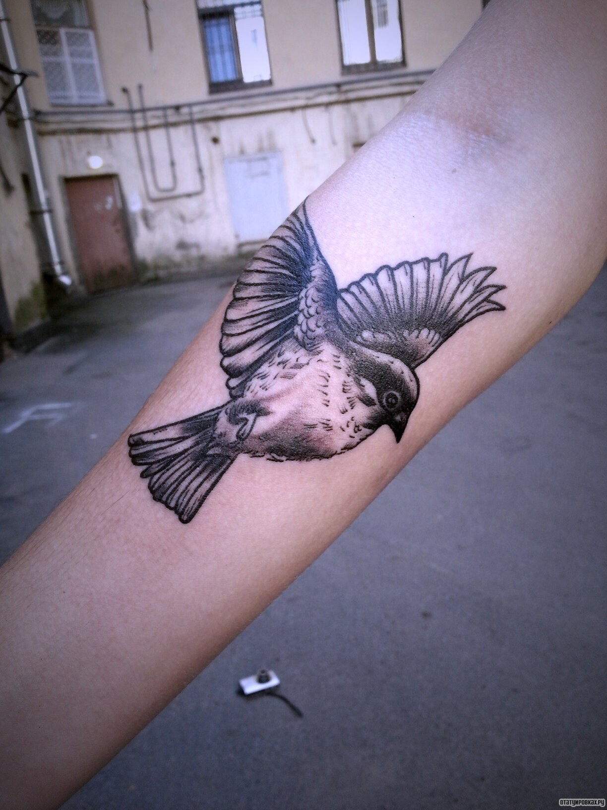 Фотография татуировки под названием «Птица в полете»