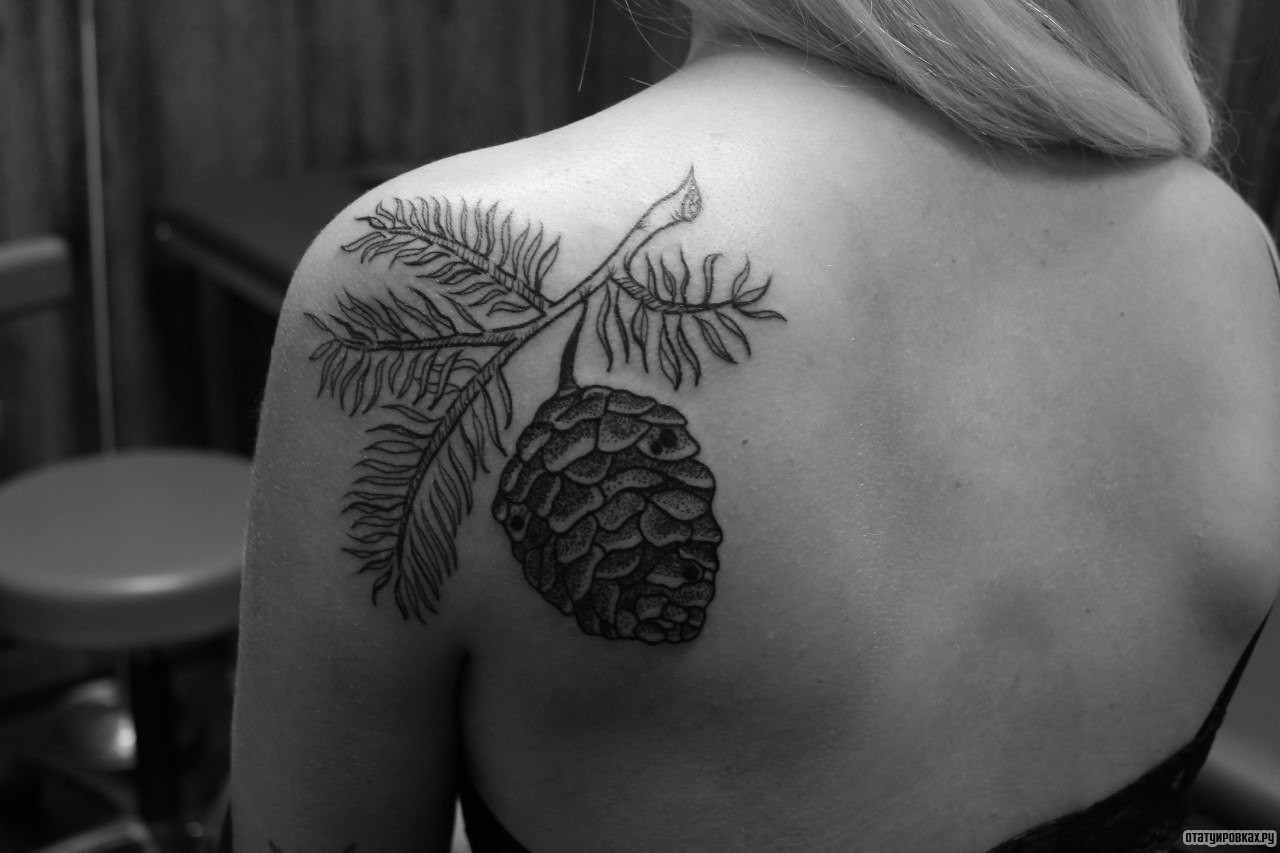 Фотография татуировки под названием «Шишка еловая»