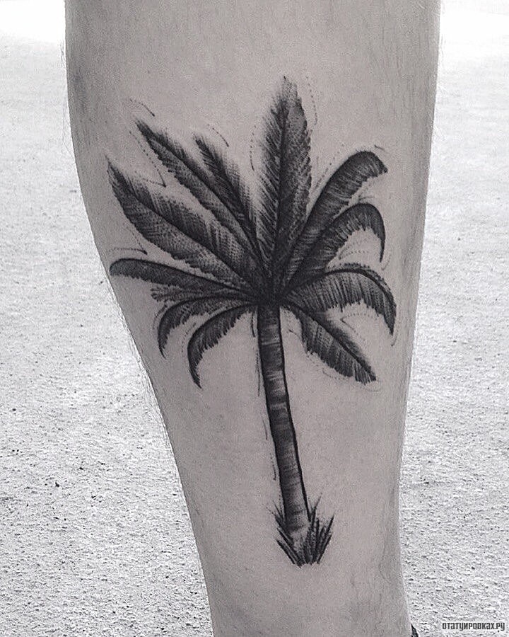 Фотография татуировки под названием «Пальма»