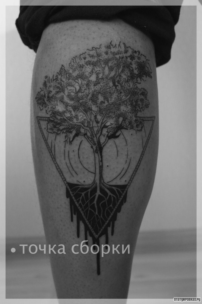 Фотография татуировки под названием «Дерево в треугольнике»