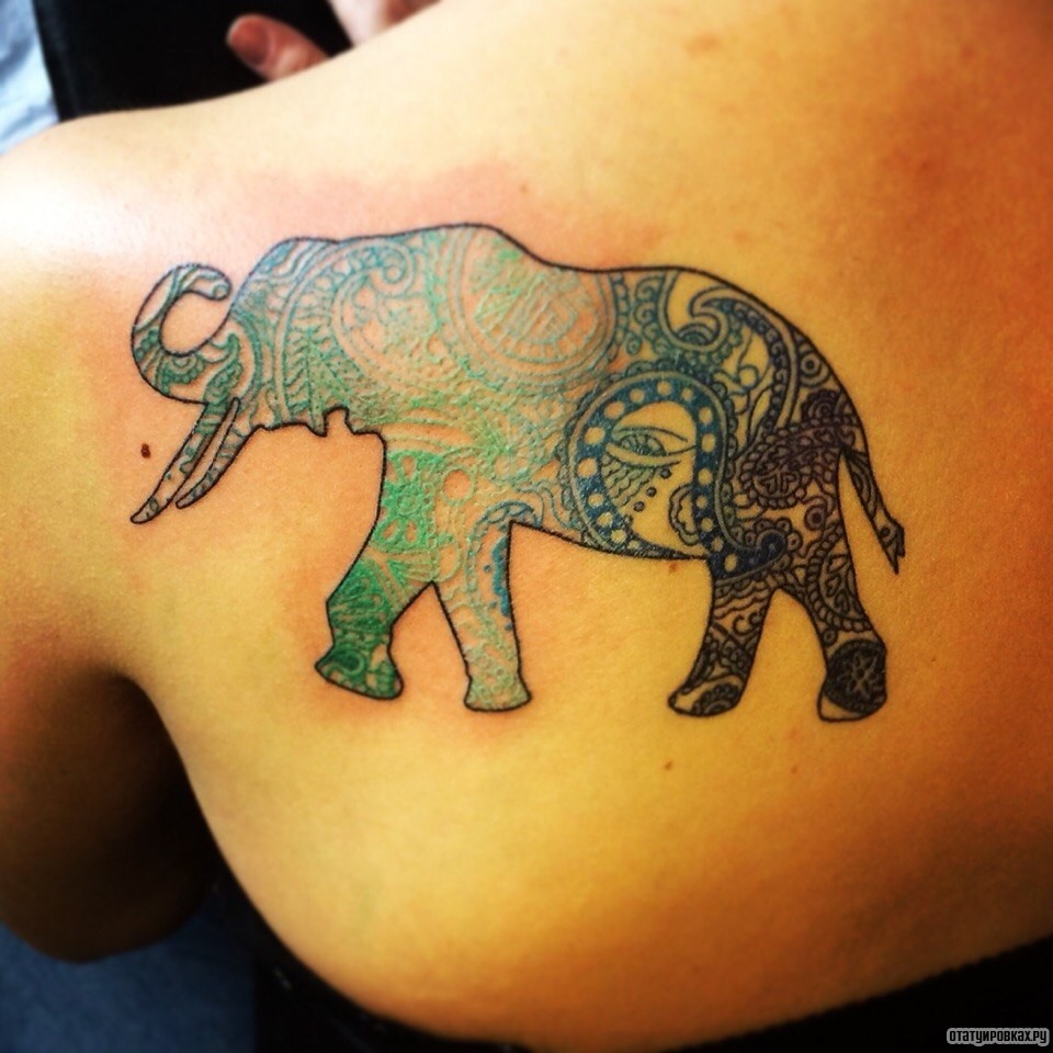 Фотография татуировки под названием «Слон узор»