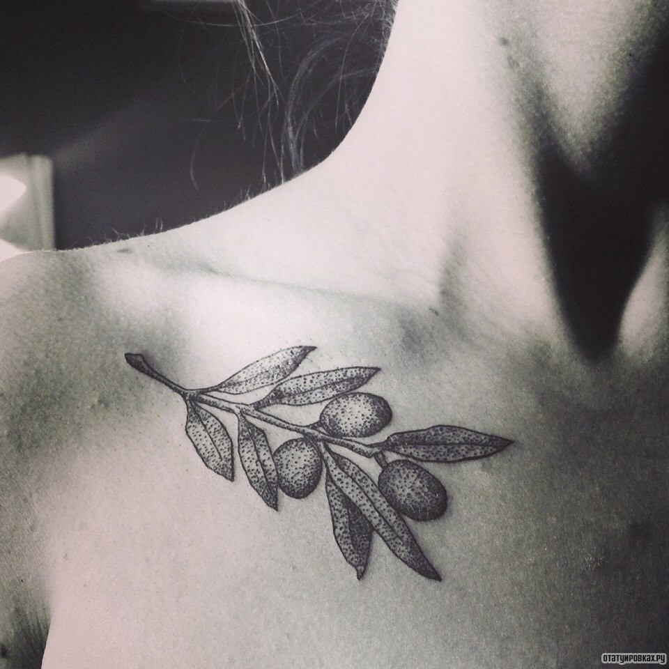 Фотография татуировки под названием «Ветка с ягодами»