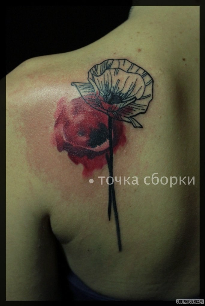 Фотография татуировки под названием «Цветок»