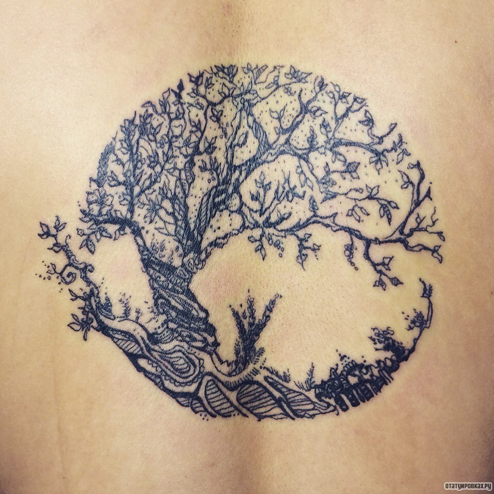 Фотография татуировки под названием «Дерево кругом»