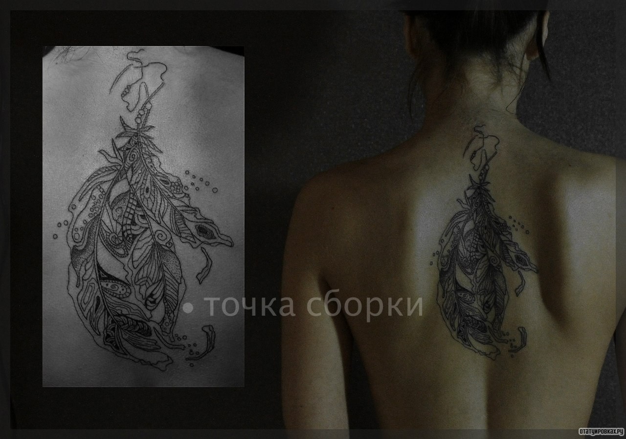 Фотография татуировки под названием «Перья»