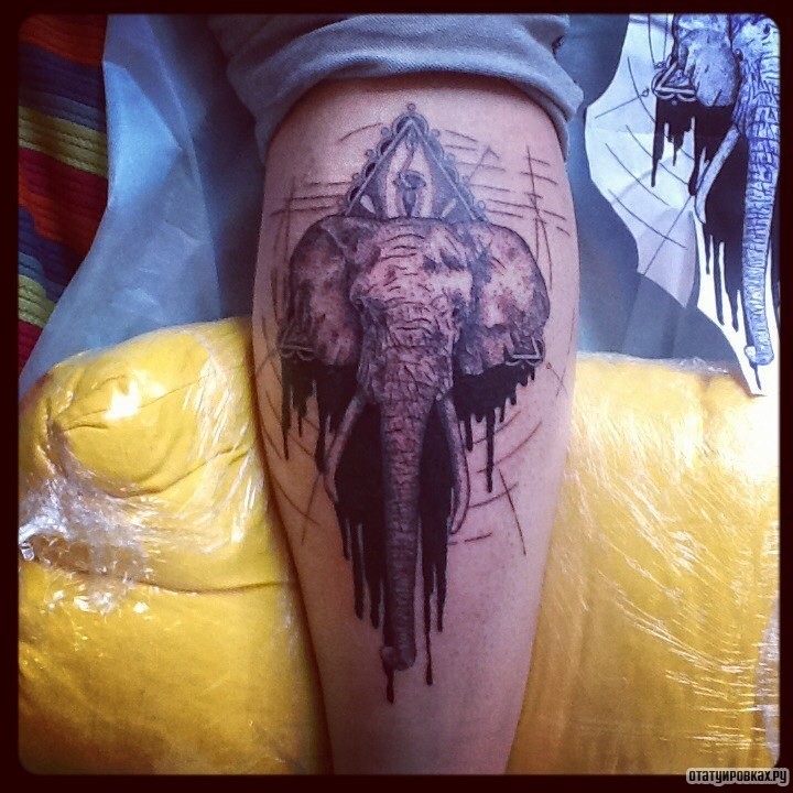 Фотография татуировки под названием «Слон на фоне треугольника»