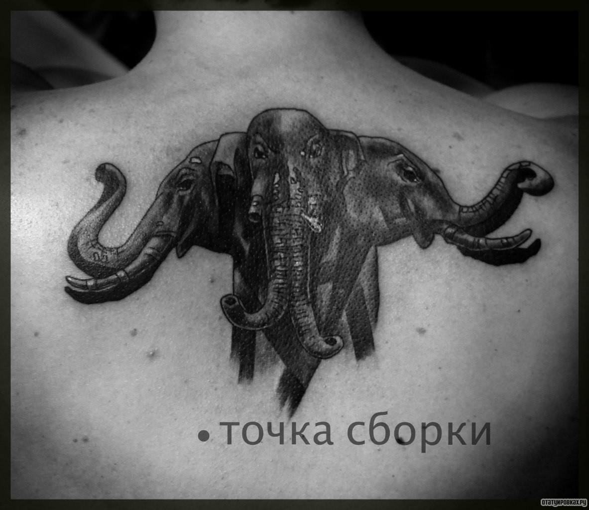 Фотография татуировки под названием «Грехглавый слон»