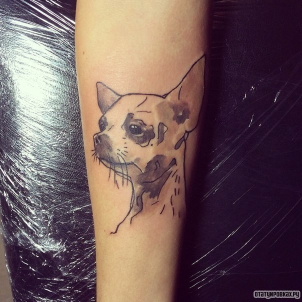 Фотография татуировки под названием «Собачка»