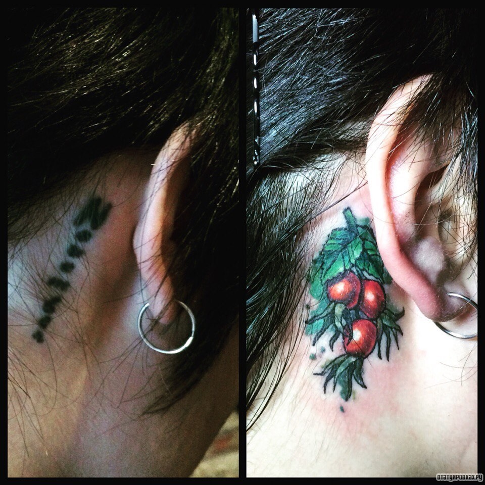 Фотография татуировки под названием «Боярышник ягоды»