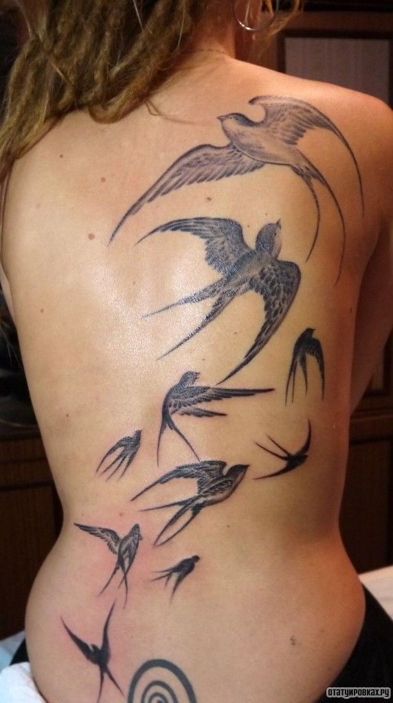 Фотография татуировки под названием «Много ласточек»