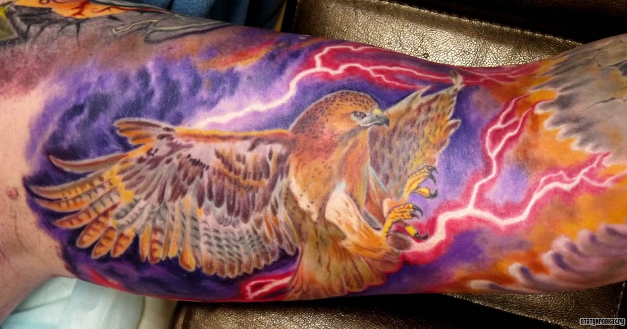 Фотография татуировки под названием «Ястреб приземляется»