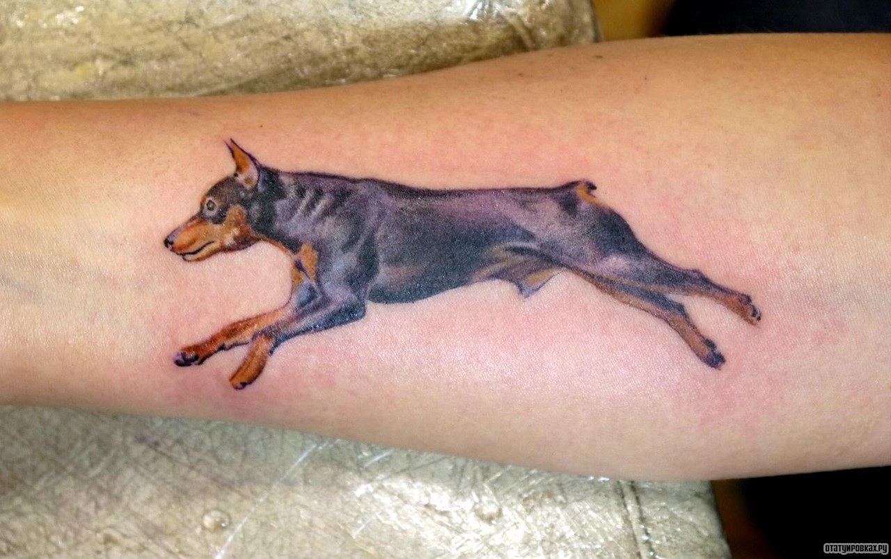 Фотография татуировки под названием «Собака в прыжке»