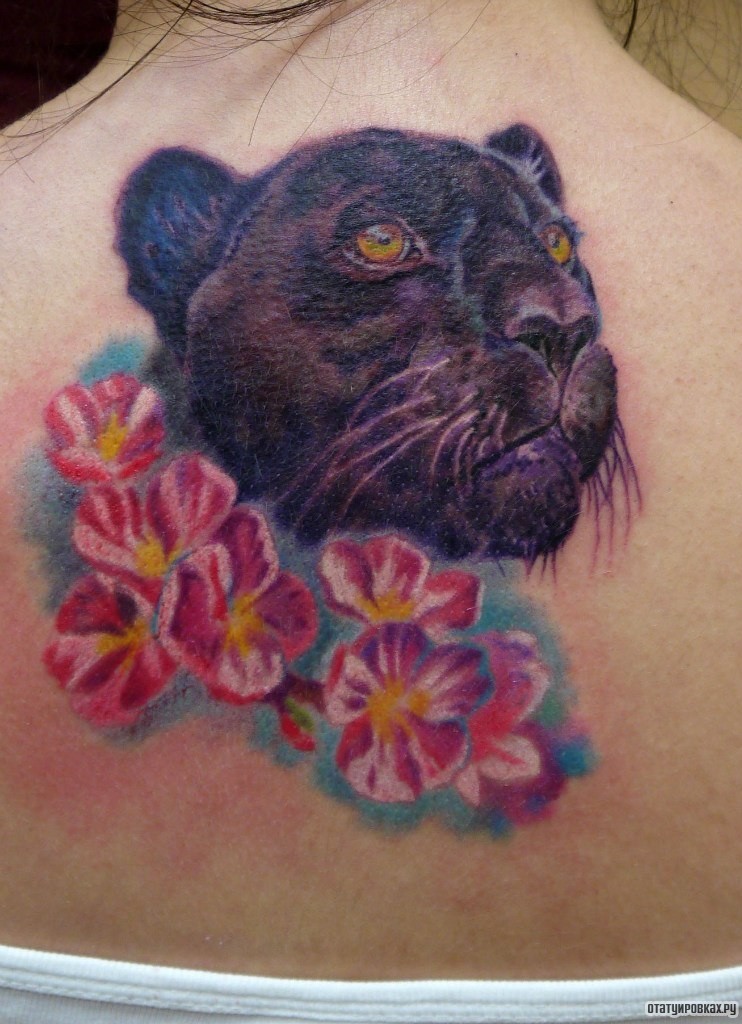 Фотография татуировки под названием «Пантера и цветы»
