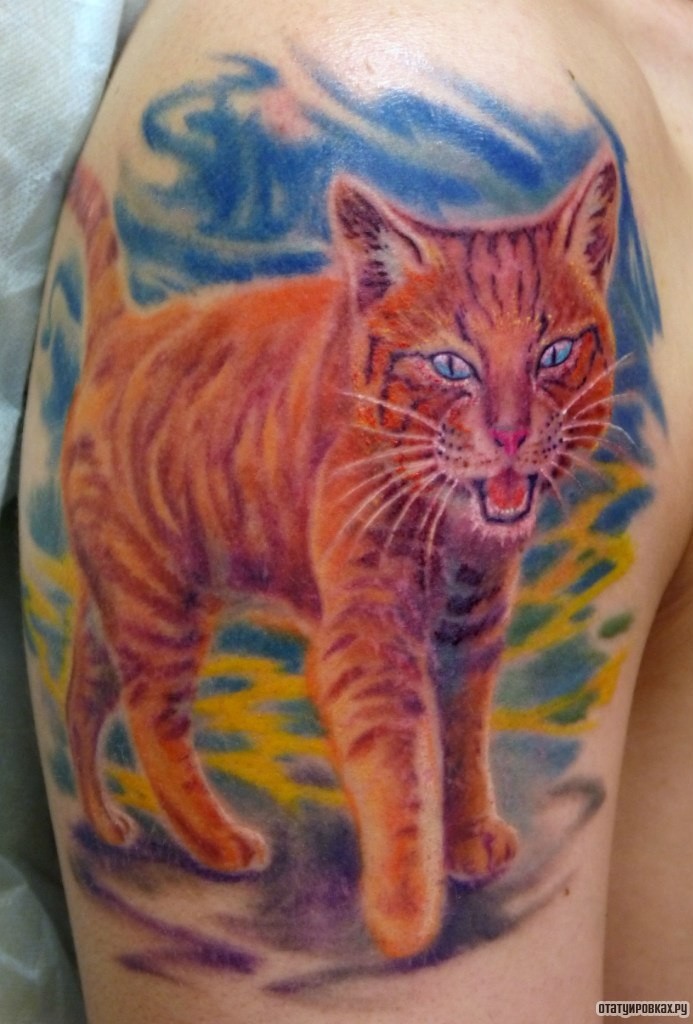 Фотография татуировки под названием «Рыжий кот»