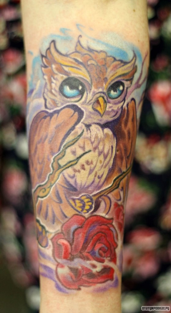 Фотография татуировки под названием «Мультяшная сова»